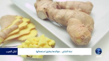 [ID: JZaOBs2ab3Q] Youtube Automatic