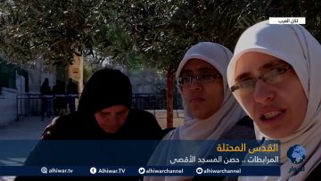 [ID: i1BRDs82T5s] Youtube Automatic