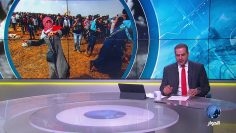 [ID: qUbXB1nZxcI] Youtube Automatic