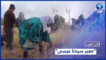 خاص: [ID: c77RQMHYArM] Youtube Automatic