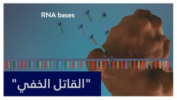 خاص: [ID: RYYXchHo8DQ] Youtube Automatic