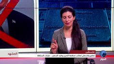 [ID: 44ZZubvouqI] Youtube Automatic