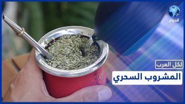 [ID: MgOjOCXIn4M] Youtube Automatic