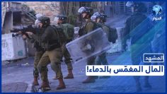 خاص: [ID: oeUvXeciCHg] Youtube Automatic