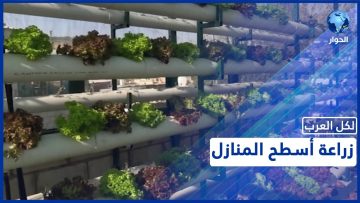 خاص: [ID: QFgUC7fbLnY] Youtube Automatic