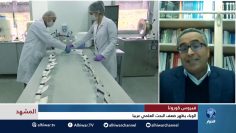 [ID: vn1011S_Og4] Youtube Automatic