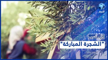 خاص: [ID: aU7q4P78sBY] Youtube Automatic