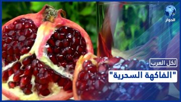 خاص: [ID: pkIhy8ZrkyA] Youtube Automatic