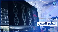 خاص: [ID: g5q72y-H0GU] Youtube Automatic