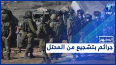 خاص: [ID: _Ra6TtfufEk] Youtube Automatic