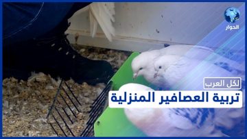 خاص: [ID: _TJaFTCLZs8] Youtube Automatic