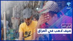 خاص: [ID: bI5MJEJi0Vk] Youtube Automatic