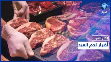 خاص: [ID: Qnkm7yk_3xQ] Youtube Automatic