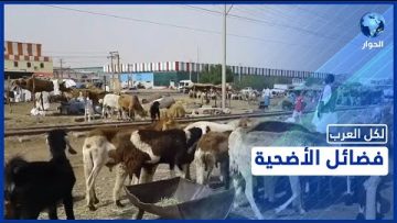 خاص: [ID: X73JOnY4xlY] Youtube Automatic