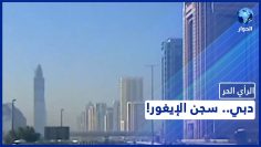 خاص: [ID: 0LgxD3M3JyM] Youtube Automatic