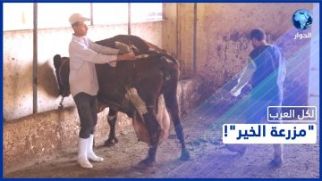 خاص: [ID: RhoRSiw0cg8] Youtube Automatic