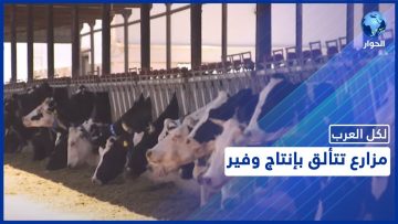 خاص: [ID: Ut0kWsptKl4] Youtube Automatic