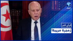 خاص: [ID: bgQ-PQp11Ps] Youtube Automatic