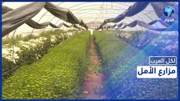 خاص: [ID: bKetQbEla9M] Youtube Automatic