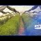 إنتاج وفير بتقنيات بسيطة.. شاهد مراحل انتاج مزرعة التميمي للزهور في الأردن