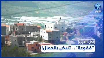 [ID: CSLE5OaI9mk] Youtube Automatic