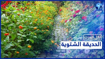 [ID: dO9fkAPLfHg] Youtube Automatic