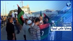 [ID: GvegtcX2E8U] Youtube Automatic