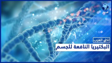 [ID: wyaNaiOMkgY] Youtube Automatic