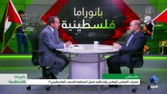 [ID: 73ZXnmED4gc] Youtube Automatic