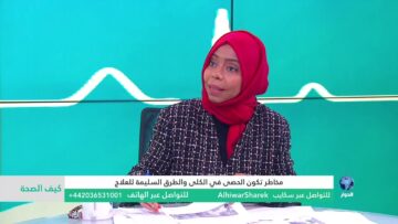 [ID: hu1dika_2EM] Youtube Automatic