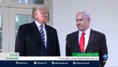 [ID: NAP9SSkzVzM] Youtube Automatic