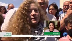 [ID: oYDoSjtwXWM] Youtube Automatic