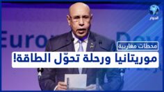 [ID: jL7TX4Z35CM] Youtube Automatic