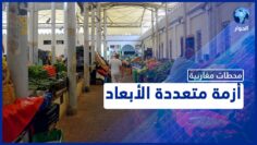 [ID: MnQVaLcXY6c] Youtube Automatic